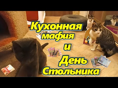 Видео: Кухонная мафия и День Стольника. 
