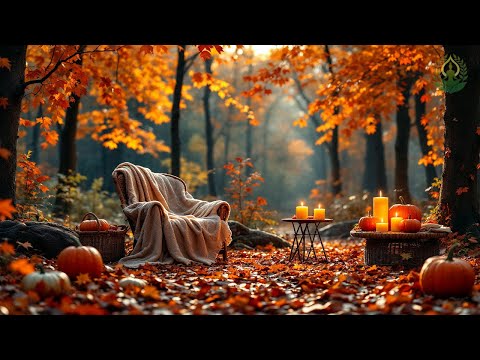 Видео: (Без рекламы) Красивая расслабляющая музыка 🍁 Осенние мелодии для снятия стресса и исцеления #4