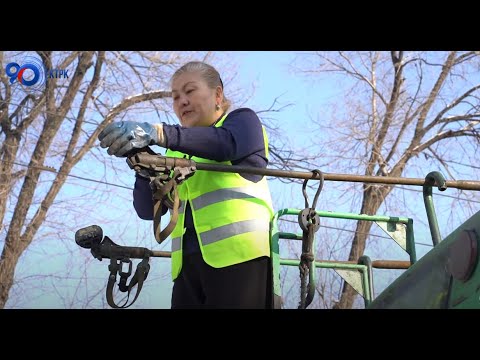 Видео: Профессия водитель троллейбуса // Путь к успеху