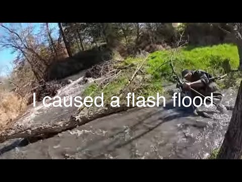 Видео: 15 фунтов таннерита против неудачной плотины бобров