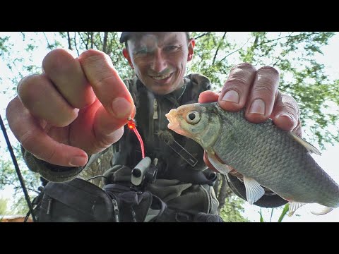 Видео: КАК ЛОВИТЬ ВОБЛУ НА СПИННИНГ?