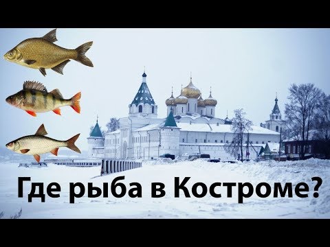 Видео: Здорово Кострома! А рыба где?