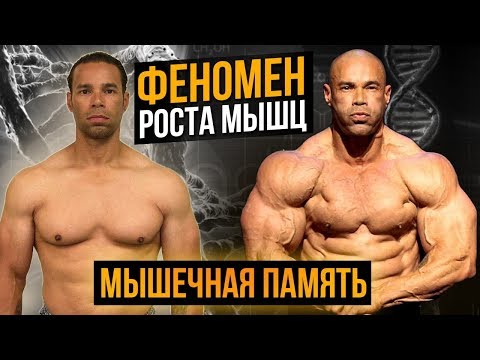 Видео: МЫШЕЧНАЯ ПАМЯТЬ и ДНК (Бодибилдинг)