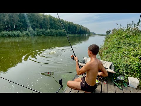 Видео: Роздача коропа на мальовничій водоймі!! Тестуємо нові прикормки.