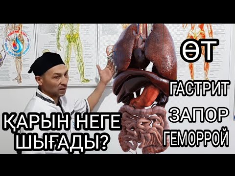 Видео: АДАМДА ҚАРЫН ЖОҚ! ҚАРЫН ШЫҒУ, ӨТТЕ ТАС, ЗАПОР СЕБЕБІ, БАУЫР, АСҚАЗАН АУРУЫ СЕБЕПТЕРІ