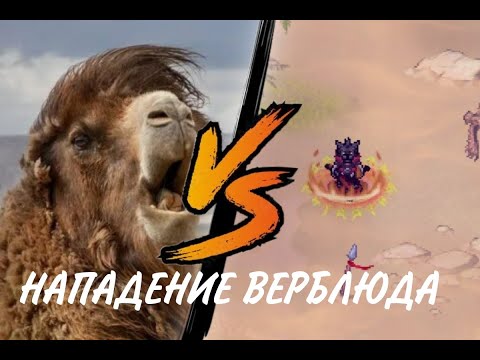 Видео: Warspear online! дкв ЗОЛОТАЯ ЛИХОРАДКА соло!!!