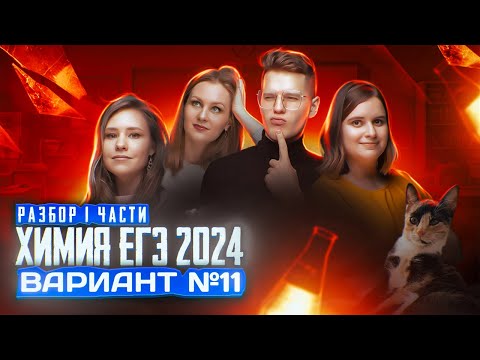 Видео: Вариант №11 ЕГЭ по ХИМИИ 2024, Степенин и Дацук | Анна, Влад, Варя и Катя с химфака МГУ