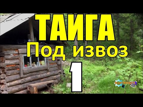 Видео: Вези меня извозчик    ТАЙГА 1 из 2
