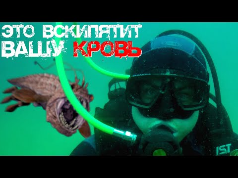 Видео: Это вскипятит вашу кровь! |Это должен знать каждый, перед тем как погрузиться с аквалангом | Дайвинг