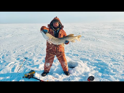 Видео: Рыбалка Костанай оз.Речное 10-11.02.25