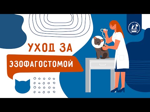 Видео: Уход за эзофагостомой