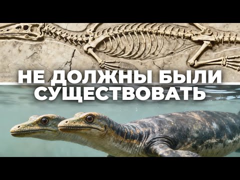 Видео: 5 древних окаменелостей которые поразили учёных | Откопали двухголового монстра!