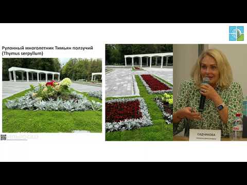 Видео: 3 ландшафтная конференция Ассоциации «ГИПЛИ» на «ЦветыЭкспо-2025»: Садчикова Татьяна Викторовна