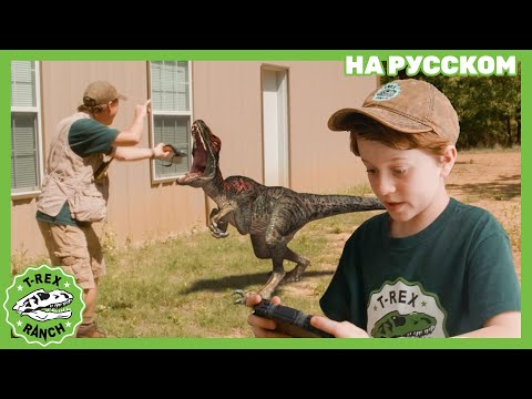 Видео: КАМЕРА РАПТОРА | Ти-рексы - Динозавры для детей