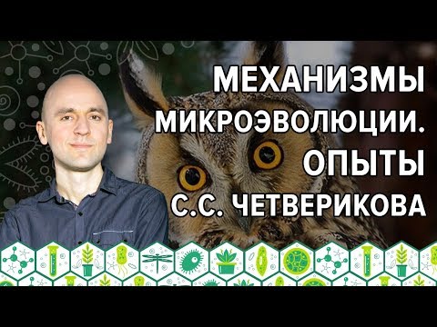 Видео: 12. Механизмы микроэволюции. Опыты С.С. Четверикова
