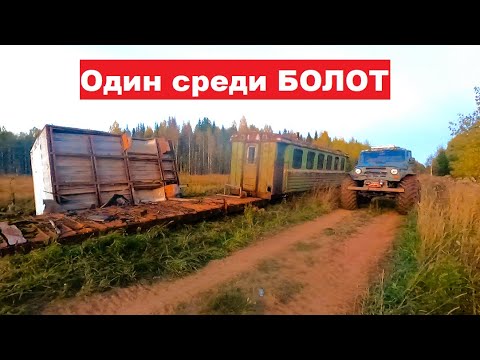 Видео: Один в ТАЙГЕ среди БОЛОТ. Поиск остатков орудий труда лесорубов 70-х годов.