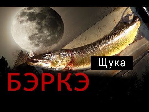 Видео: БЭРКЭ. Рыбалка в Якутии. Щука.//Fishing in Yakutia. Pike.