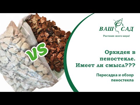 Видео: Пересадка орхидеи в пеностекло, нужно ли это делать? Рекомендации Ваш сад
