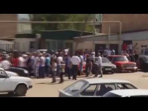 Видео: Автолюбительская сходка