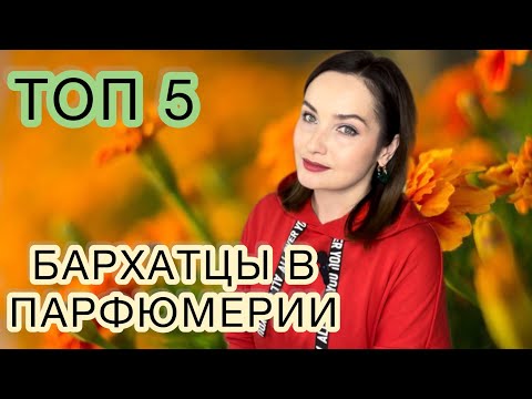 Видео: ВОЛШЕБНЫЕ БАРХАТЦЫ В МОИХ АРОМАТАХ | Топ 5 | МНОГО БЮДЖЕТНЫХ ВАРИАНТОВ🫶🏻