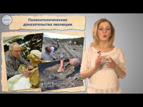 Видео: Биология 7 класс. Доказательство эволюции животного мира