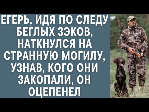 Видео: Егерь, идя по следу беглых зэков, наткнулся на странную могилу, узнав кого они закопали, он оцепенел