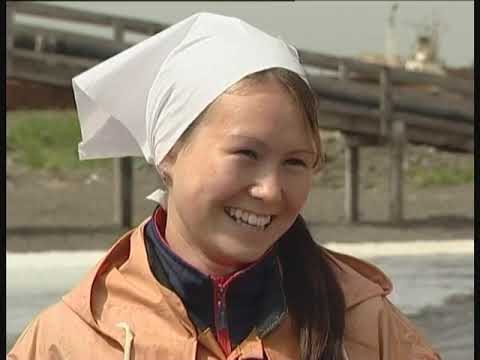 Видео: Рыбный завод КОЛХОЗ "Ударник", село Кострома, КАО, Камчатский край, ВЕСТИ Палана, 5'40'' 26.07.2006