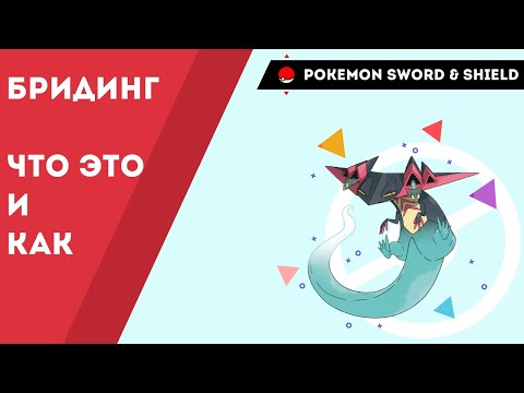 Видео: Pokemon Sword and Shield как бридить покемонов
