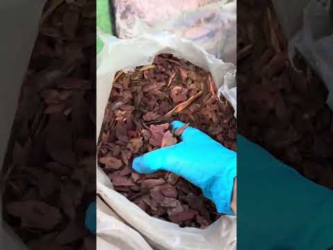 Видео: Обзор всех фракций коры сибирской лиственницы от  Сибкор