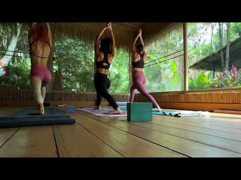 Видео: 12 ноября 2025 г.