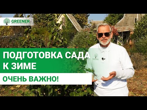 Видео: Готовим плодовые к зиме. ЕЩЕ НЕ ПОЗДНО СДЕЛАТЬ ЭТО!