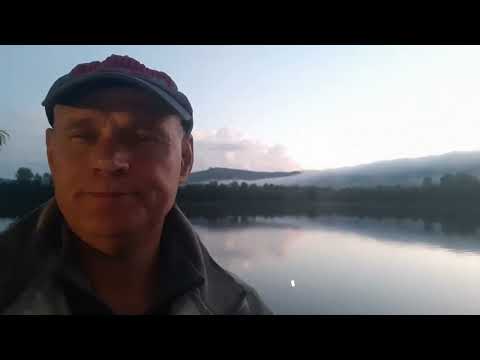 Видео: рыбалка. томь. средняя терсь июль 2024