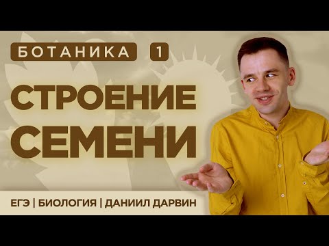 Видео: Строение семени | ЕГЭ Биология | Даниил Дарвин