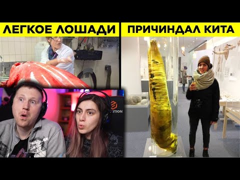 Видео: Любопытные Сравнения, Которые Покажут Вам Мир По другому | РЕАКЦИЯ на WTFакт