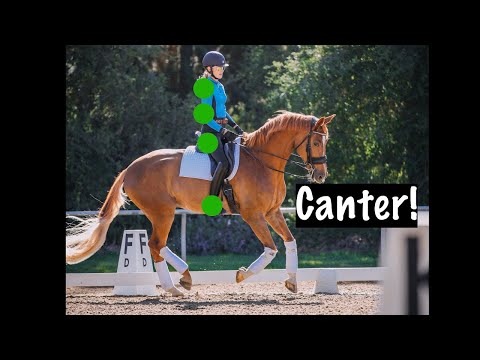 Видео: Галоп! Что делать с седалищем, ногами, плечами, локтями и т.д.!