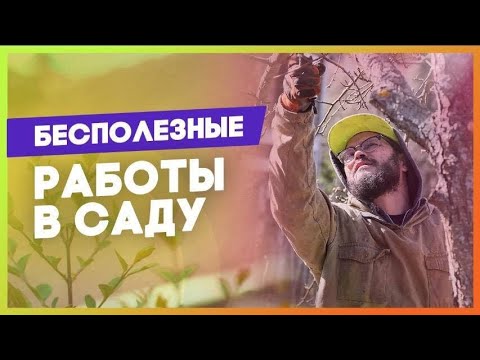Видео: НЕ обрабатывайте ТАК сад перед зимой.  Разбор бесполезных советов