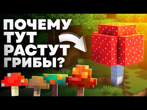 Видео: ОТКУДА ГРИБЫ В ТЁМНОМ ЛЕСУ ? Майнкрафт Теория - MrGridlock
