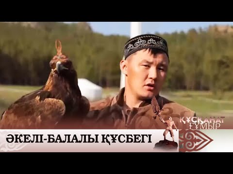 Видео: Әкелі-балалы құсбегі. «Құсқанат ғұмыр»