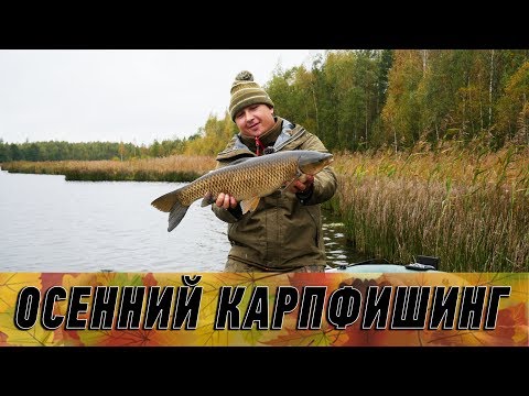 Видео: Карпфишинг поздней осенью. Ловля карпа по холодной воде!