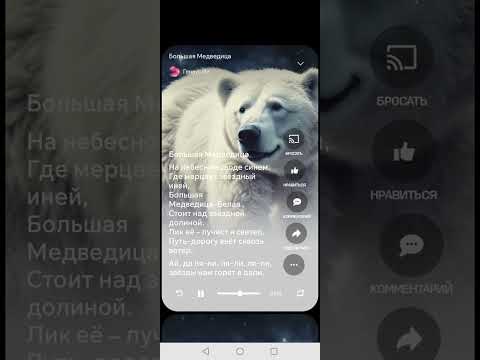 Видео: Большая Медведица 