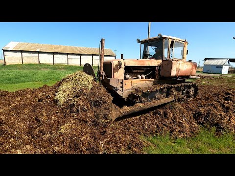 Видео: Давненько мы не видели Василия Алексеевича в работе!