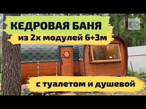 Видео: Кедровая баня в сосновом бору!