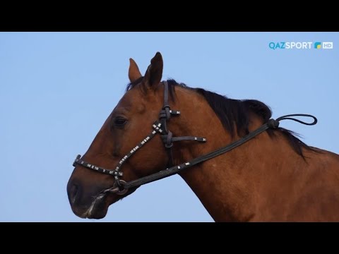 Видео: «СӘЙГҮЛІК СЫНЫ». Тұмар