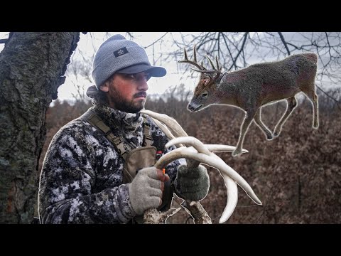 Видео: Древний айовский белохвостый олень (охота с луком в гоне)