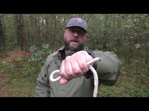 Видео: Нож ZONDA Petrified Fish. Уличный тест