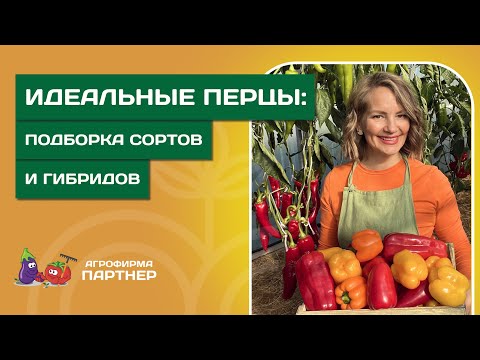Видео: ТОЛСТОСТЕННЫЕ, СОЧНЫЕ, АРОМАТНЫЕ — Топ сортов и гибридов перца для идеального урожая