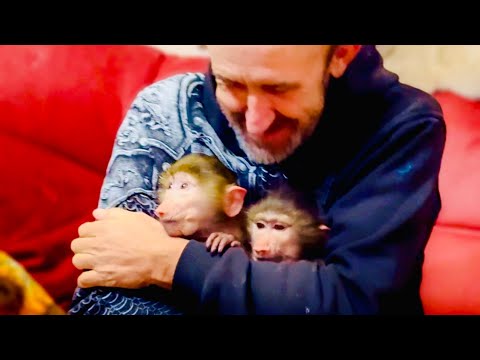 Видео: Горе горем, а жизнь продолжается и все питомцы требуют ЛЮБВИ, ЛАСКИ и ВНИМАНИЯ!