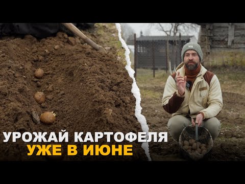 Видео: ПОСАДКА РАННЕГО КАРТОФЕЛЯ. Что нужно знать и как все сделать правильно.