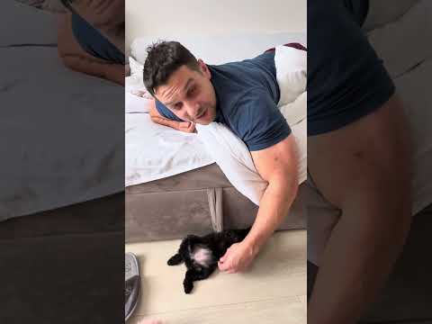Видео:  Манюня Моніка