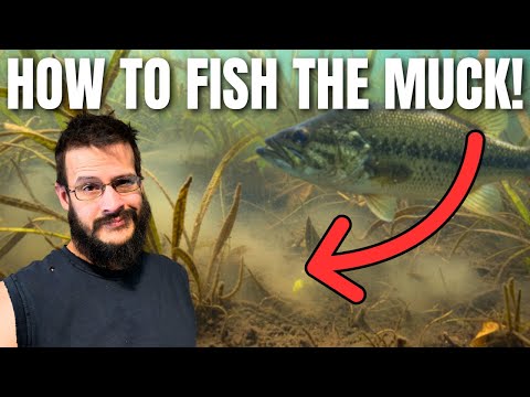 Видео: Как ловить рыбу в прудах с илистым дном (приманки, которые действительно работают!)